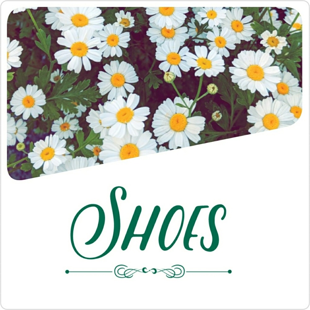 Womens & Mens Shoes